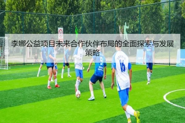 李娜公益项目未来合作伙伴布局的全面探索与发展策略 | MKSports