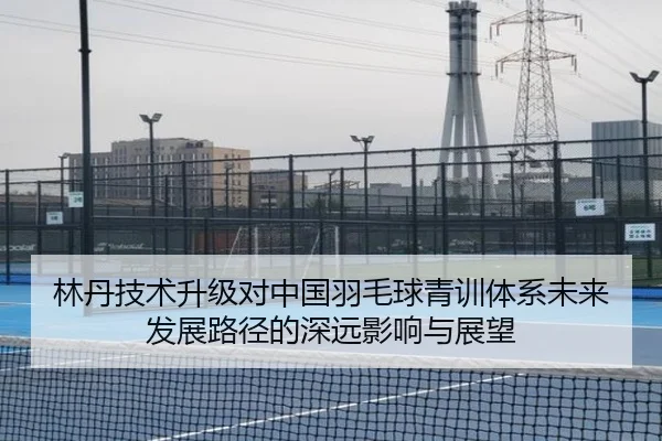 林丹技术升级对中国羽毛球青训体系未来发展路径的深远影响与展望