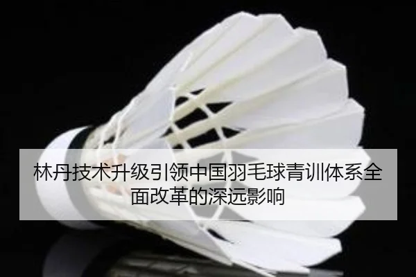 林丹技术升级引领中国羽毛球青训体系全面改革的深远影响